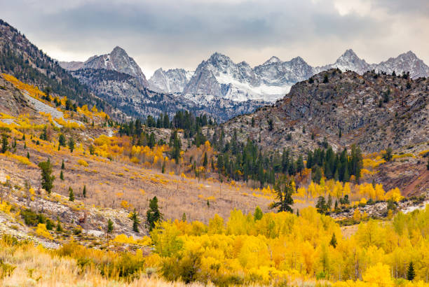 istock Fall foliage fall colors autumn season 1182004770
