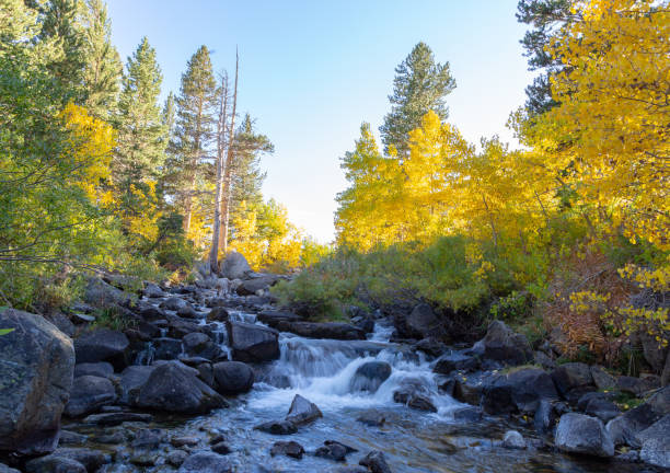 istock Fall foliage fall colors autumn season 1182004797