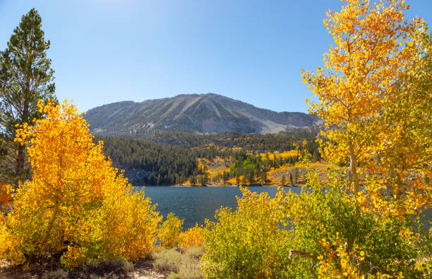 istock Fall foliage fall colors autumn season 1182004807