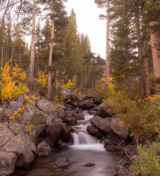 istock Fall foliage fall colors autumn season 1182004822
