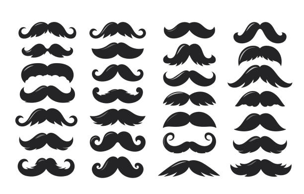 ilustrações de stock, clip art, desenhos animados e ícones de black sillhouettes of moustache vector collection isolated on white background - mustache