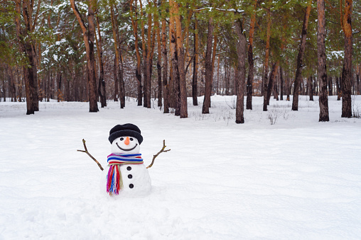 Winter landscape with snowman in park