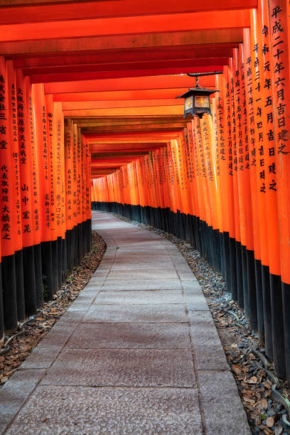Orange torii gates at the Fushimi Inari Shrine, Kyoto stock photo