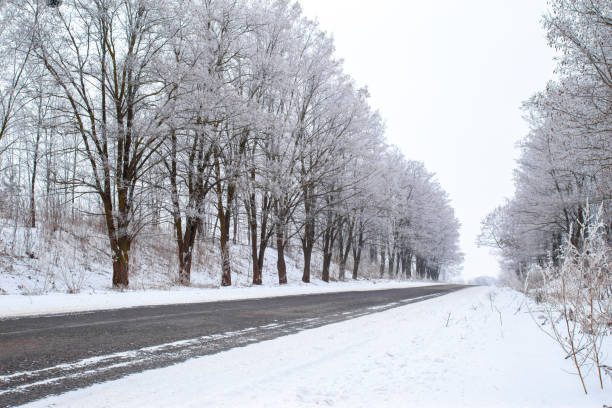 istock Rural asphalt road angle view with trees covered up in hoar frost. 1182013703