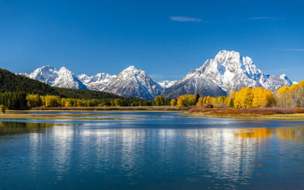 mount moran view from oxbow bend beside snake river of grand teton, wyoming - snake river teton range mountain range mountain imagens e fotografias de stock