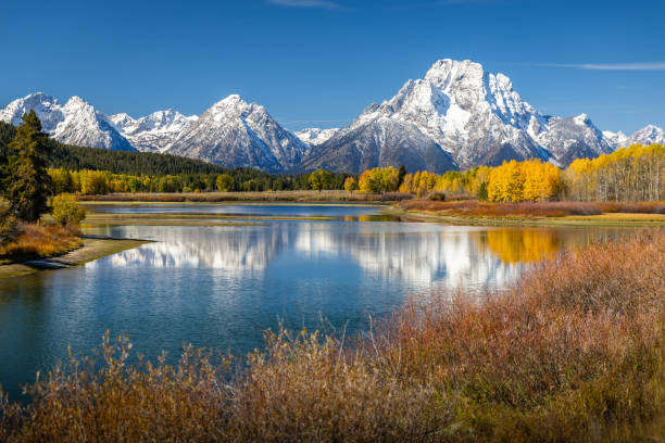 mount moran blick von oxbow bend neben snake river of grand teton, wyoming - wyoming stock-fotos und bilder