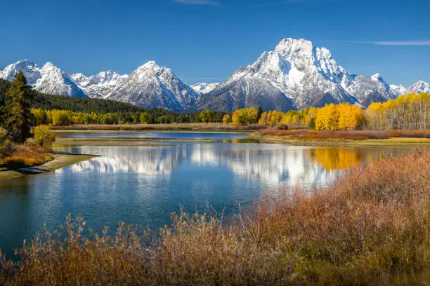 Mount Moran view from Oxbow Bend beside Snake River of Grand Teton, Wyoming. Color of tees and environment changing due to autumn change to winter.