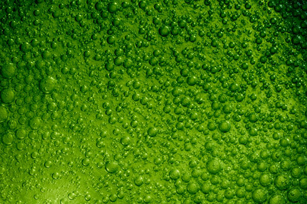 istock Air bubbles in sparkling, green colored drink. 1182021934