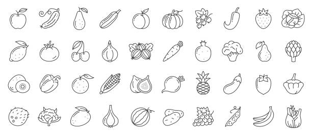 Fruit berry vegetable food line icon vector set Fruit, berry, vegetable thin line icon set. Food collection of simple outline signs. Symbol in linear style. Vegetarian black contour flat icons design. Isolated on white concept vector Illustration carrot symbol food broccoli stock illustrations