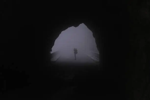 Photo of Photographer silhouette standing on the street seen through the tunnel in a misty forest