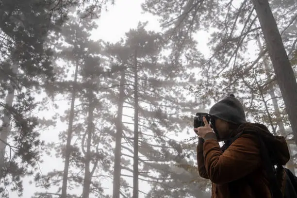 Photo of Woman exploring beautiful forest in mist and rain