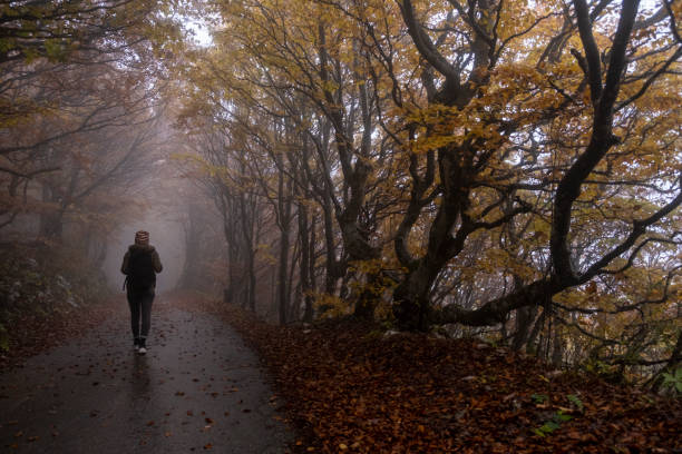 istock Woman walking through beautiful Autumn Colored Forest 1182024746