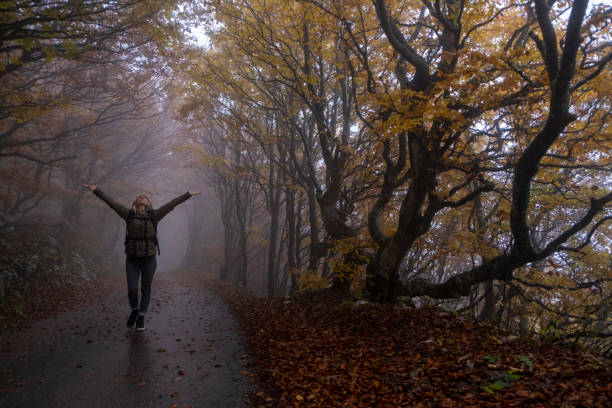 istock Woman walking through beautiful Misty Autumn Colored Forest 1182024802