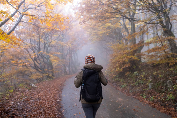 istock Woman walking through beautiful Autumn Colored Forest 1182024875