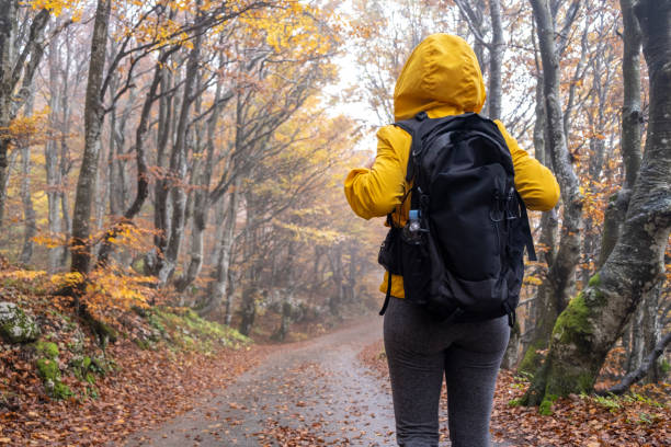 istock Woman walking through beautiful Autumn Colored Forest 1182025517