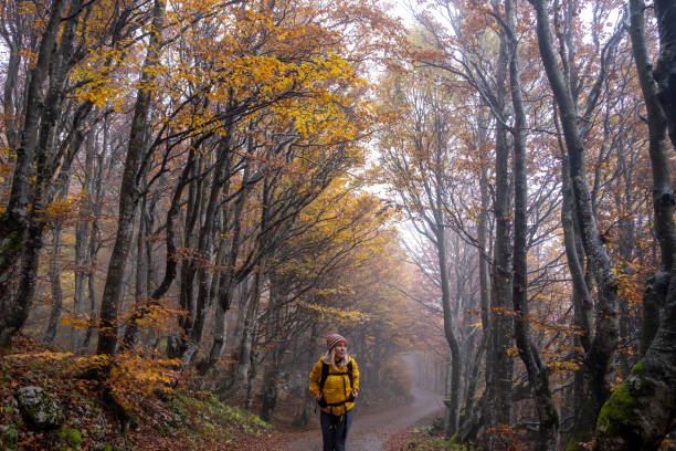 istock Woman walking through beautiful Autumn Colored Forest 1182025567