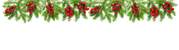 istock Christmas tree branches red berries Holidays decoration banner 1182028849
