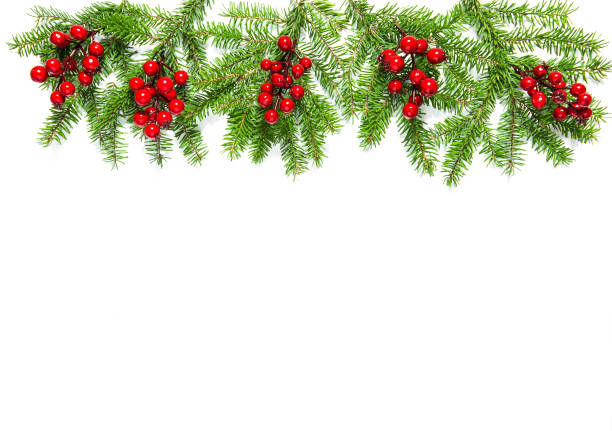 istock Christmas tree branches red berries Holidays decoration 1182028856