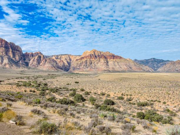 istock National park Death Valley.USA. 1182029031