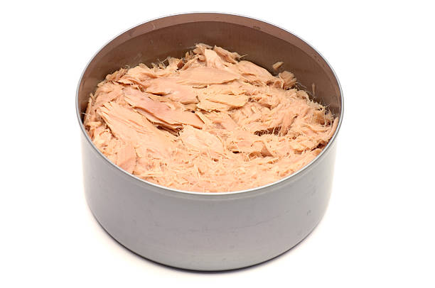 istock Can of Tuna 118202929