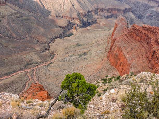 istock Grand canyon national park, usa. 1182030136