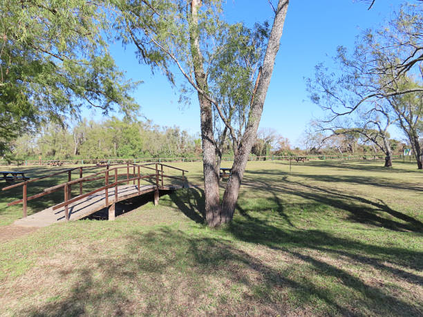 istock Wooden Bridge in the Forest 1182030315