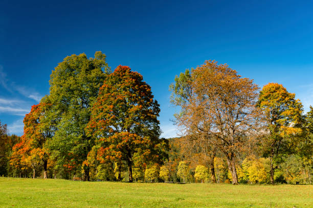 istock Indian Summer in Upper Bavaria, Garmisch-Partenkirchen, Germany 1182030441