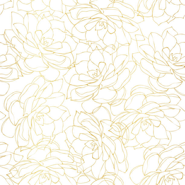 Seamless pattern with golden outlined succulent flowers on white background Seamless pattern with golden outlined succulent flowers illustration echeveria stock illustrations