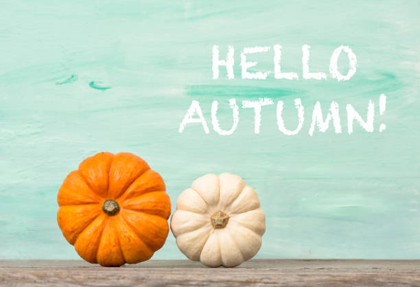 istock Pumpkin decoration Hello autumn Halloween Thanksgiving 1182031779