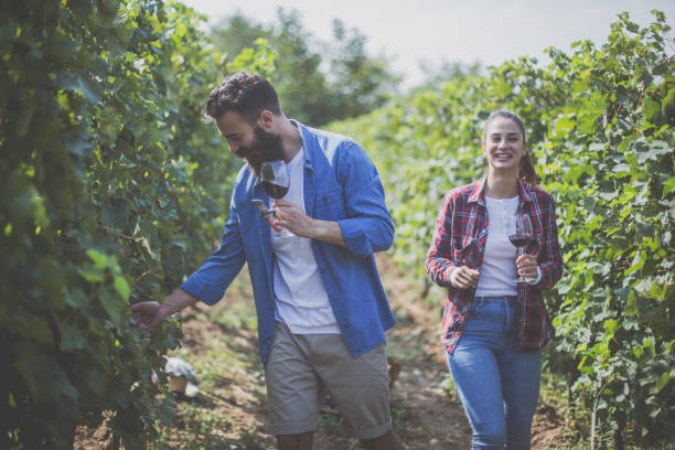 istock Wine tasting in the countryside 1182031920