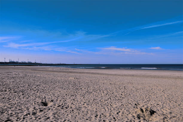 istock Summer in the Netherlands Rotterdam Maasvlakte 1182035224