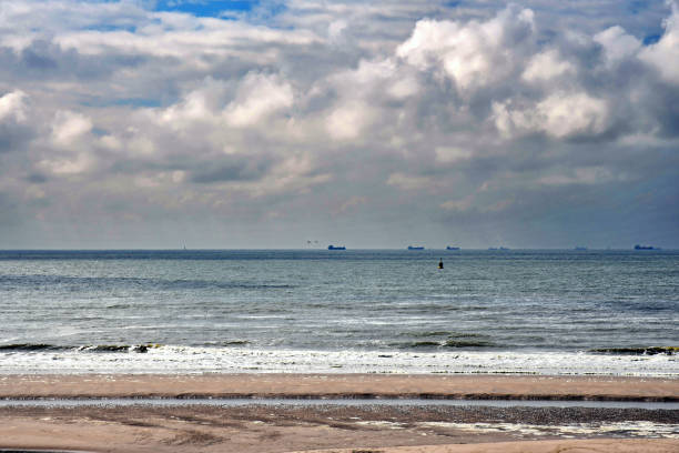 istock Summer in the Netherlands Rotterdam Maasvlakte 1182035227