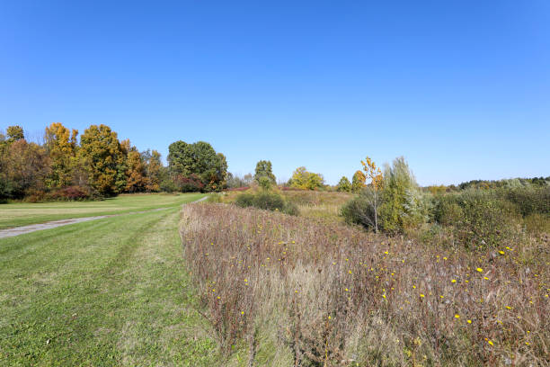 istock Autumn foliage along the hiking trail 1182035303