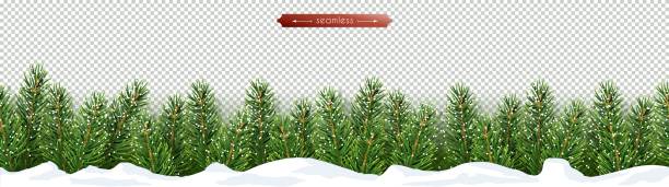 ilustraciones, imágenes clip art, dibujos animados e iconos de stock de navidad año nuevo bajo frontera horizontal con ramas de árboles de navidad en la nieve - parte inferior