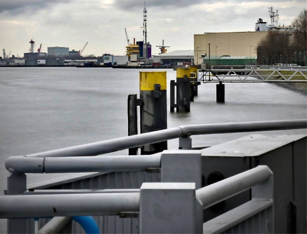 istock Rotterdam in Schiedam Nederland 1182040834
