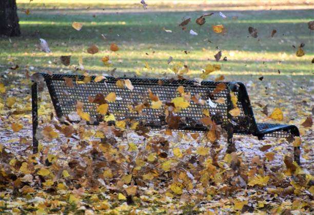 istock Orange and yellow leaves blowing over park bench 1182041094