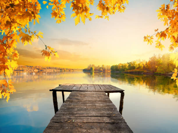 istock Autumn and calm pond 1182043538