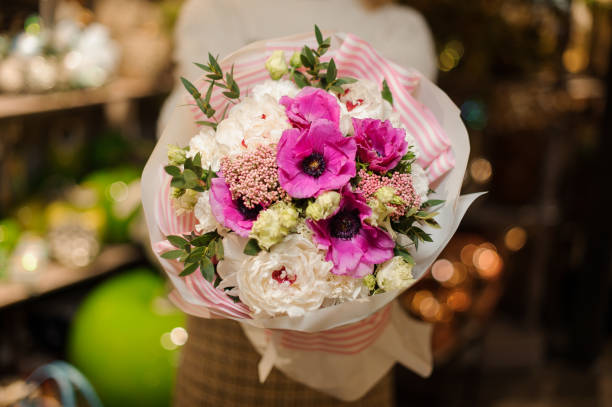 緑の葉で飾られた紫のピンクと白の牡丹のバラでクリスマスの組成物を保持している女性 - orchid flower single flower green ストックフォトと画像