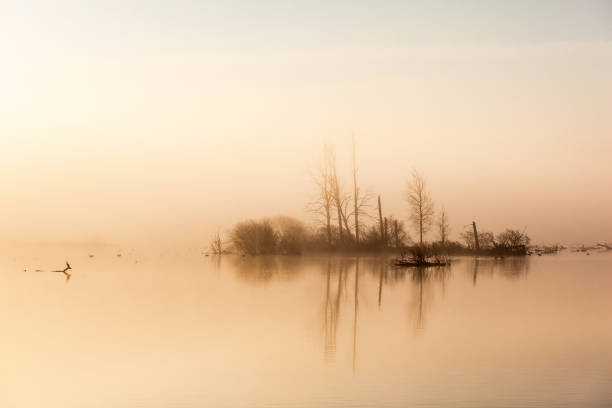 istock Dawn light with fog at a lake 1182046046
