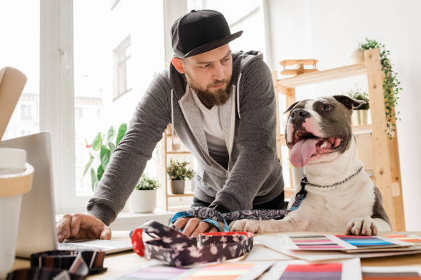 Young casual man looking at his dog while bending over workplace Young casual man looking at his dog while bending over workplace with laptop and working over new collar collection hipster dog stock pictures, royalty-free photos & images