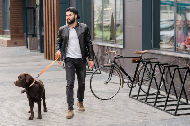 istock Handsome guy in casualwear holding leash while taking walk with his pet 1182047472