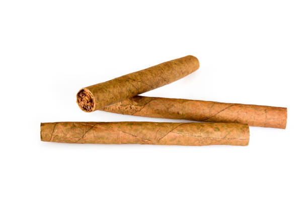 istock Three tobacco cigarillos isolated on white background. Macro close up, high resolution. 1182048484