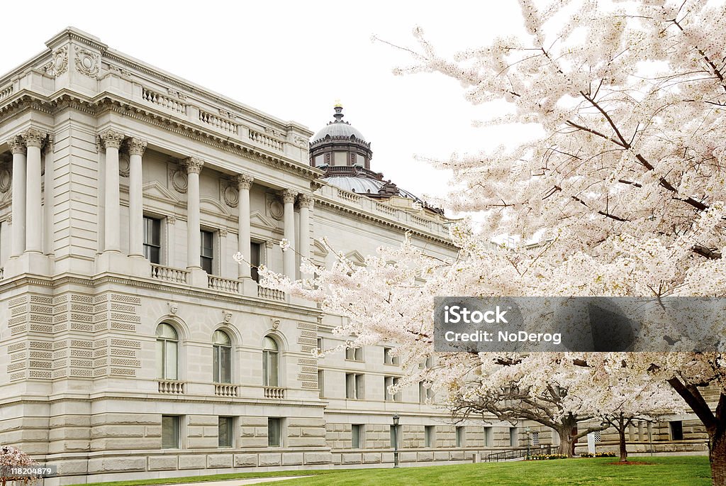 米国議会図書館で春 - カラー画像のロイヤリティフリーストックフォト