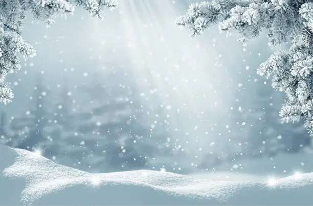 Merry Christmas and happy new year greeting card. Winter landscape with snow .Christmas background with fir tree branch