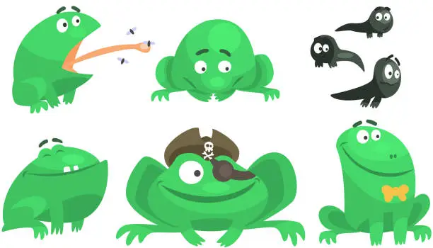 Vector illustration of Collection of Green Frog with Various Emotions, Funny Amphibian Animal Cartoon Character in Different Situations Vector Illustration