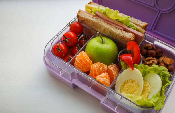 lilac lunch box with useful food for lunch and snack: sandwich, vegetables, fruits, nuts and eggs on a  white background with space for text. concept of healthy food, snack for adults and kids - lunch box lunch red apple imagens e fotografias de stock