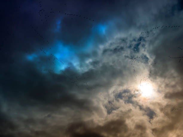 A formation of wild geese flying towards the salt marshes and nature reserves of North Norfolk in Eastern England.
