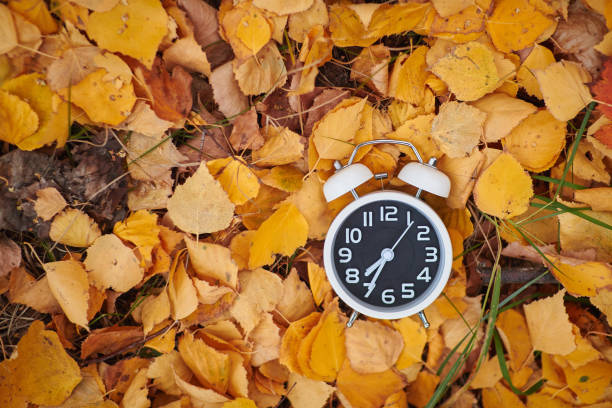 istock Alarm clock white on a background of yellow fallen foliage 1182062896