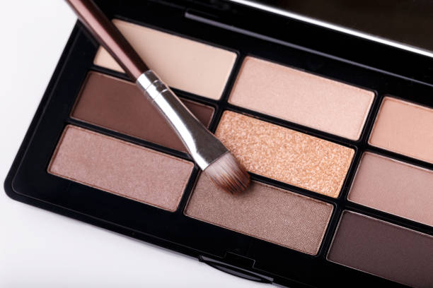 istock Professional eye shadow brown pastel palette 1182064965