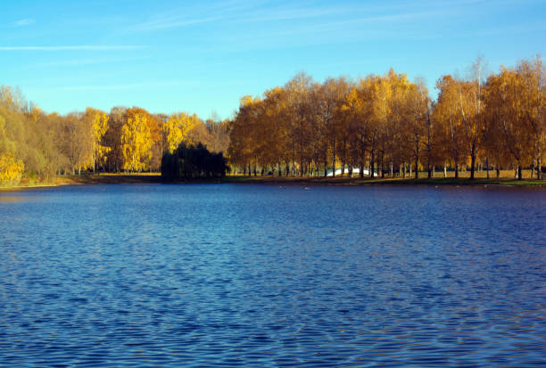 istock Autumn in City Park 1182065675
